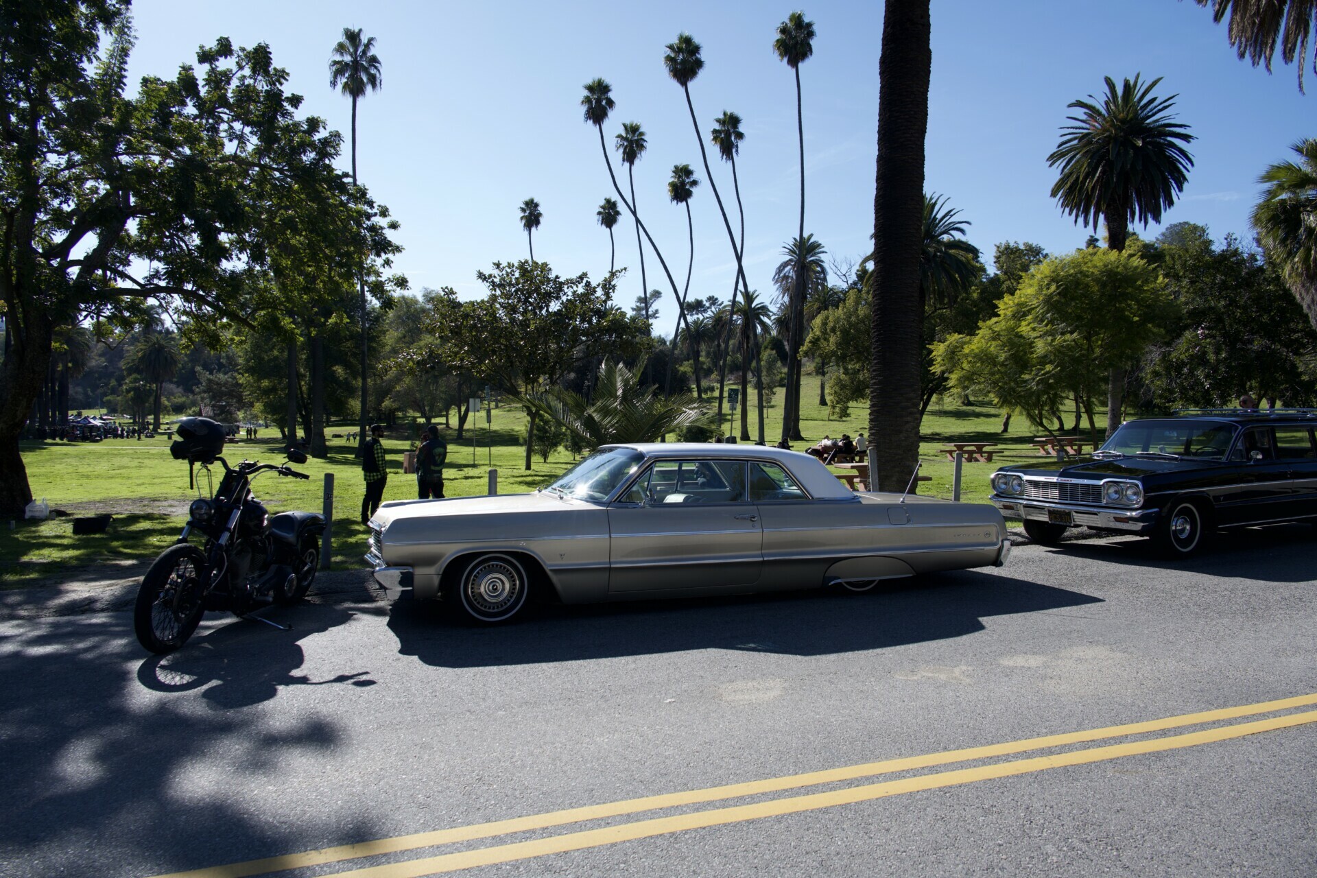Vintage cars parked under towering palm trees in Elysian Park, Los Angeles