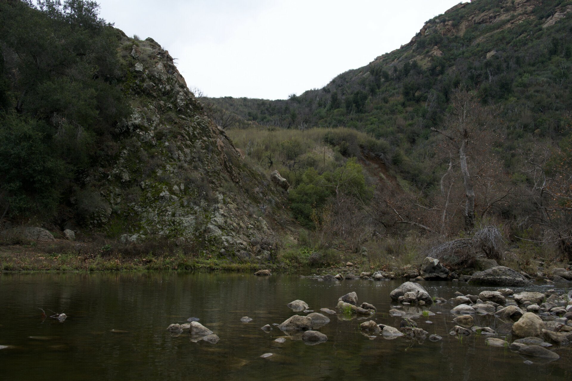 A tranquil scene at Malibu Creek State Park featuring smooth rocks and clear waters surrounded by lush vegetation.