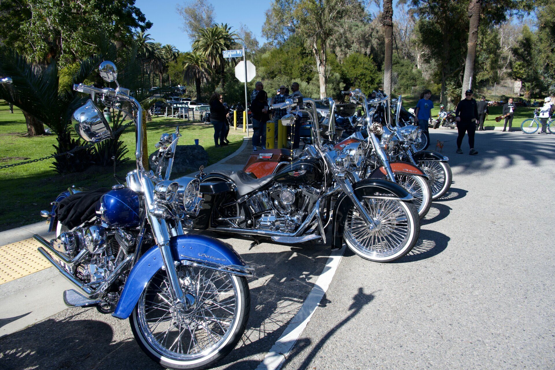 A lineup of classic motorcycles on display at Elysian Park, with chrome details glinting in the sunlight