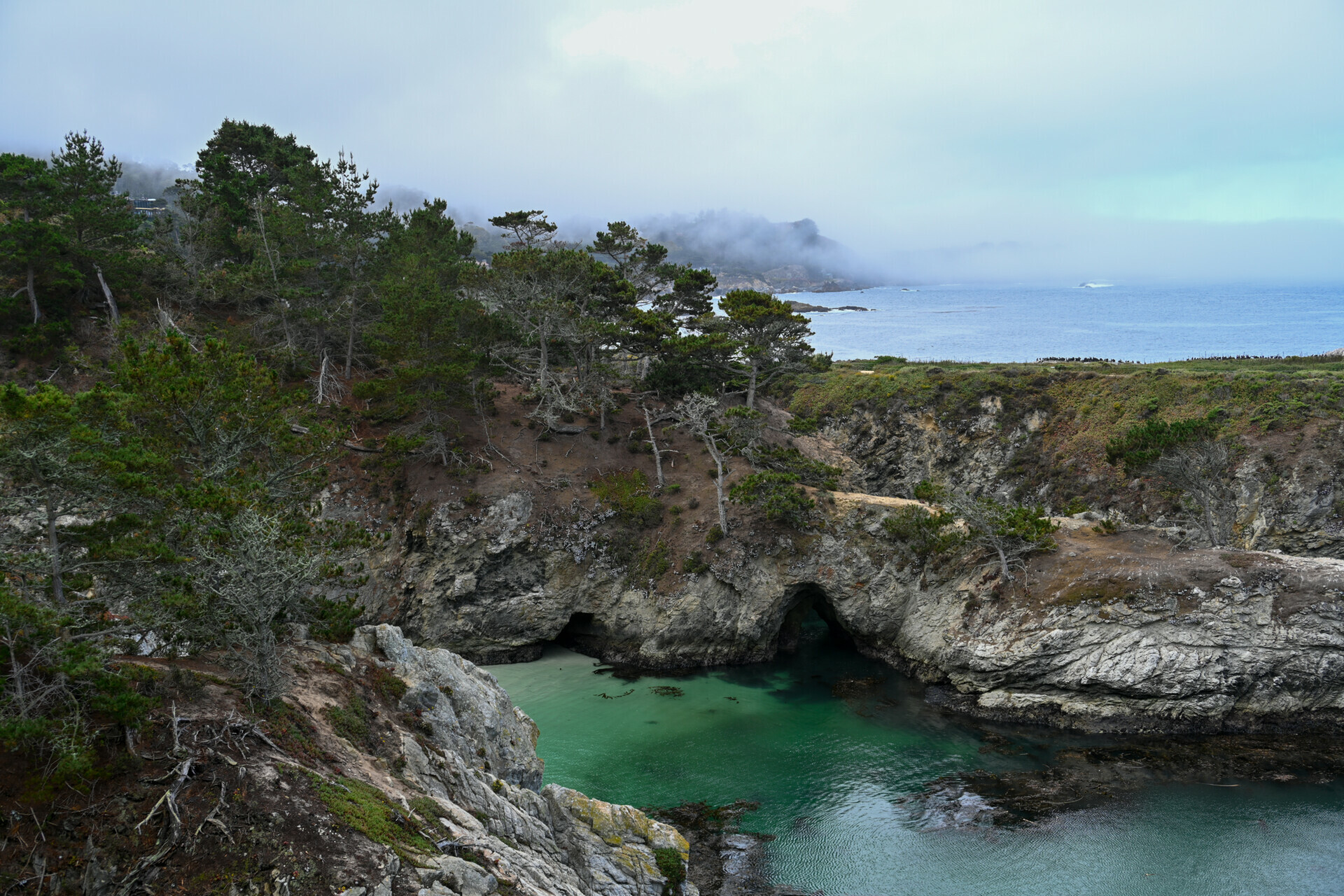 Emerald waters are in a secluded cove with a sea arch at McWay Falls, which is surrounded by cliffs and forest.