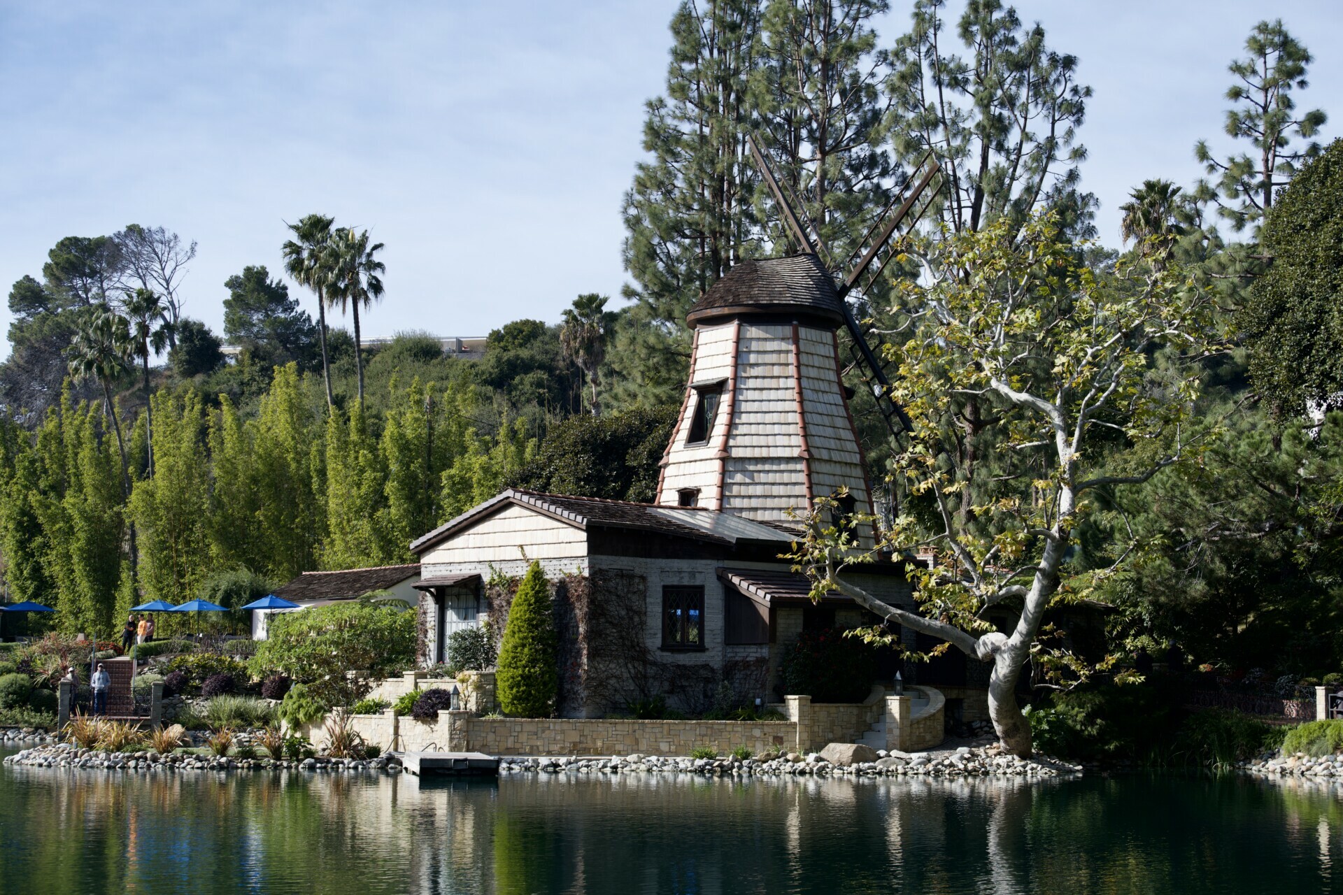 A rustic windmill overlooking Shrine Lake, surrounded by vibrant greenery under the clear Los Angeles sky