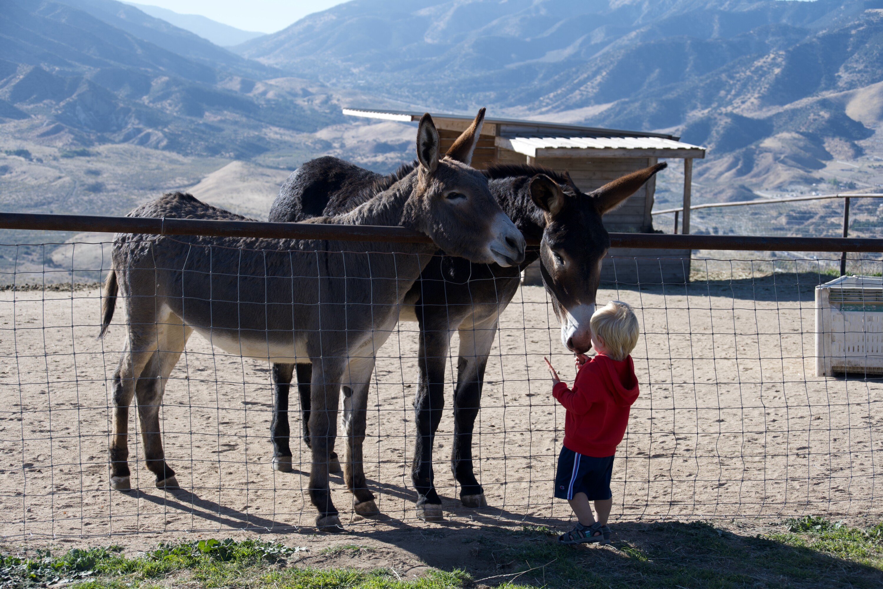Weekend Family Getaway from LA to Lone Juniper Ranch with a Toddler