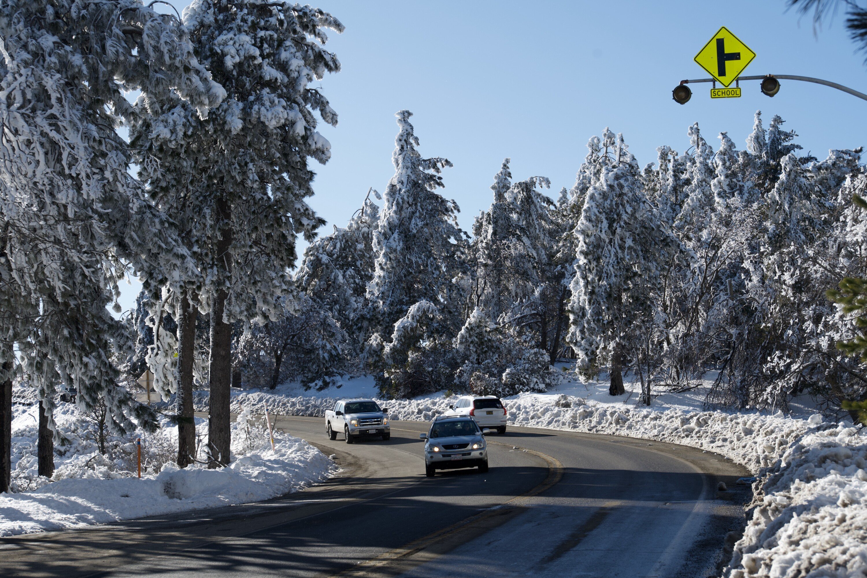 A group of cars driving down a snow-covered mountain road with snow-covered trees on the sides. 