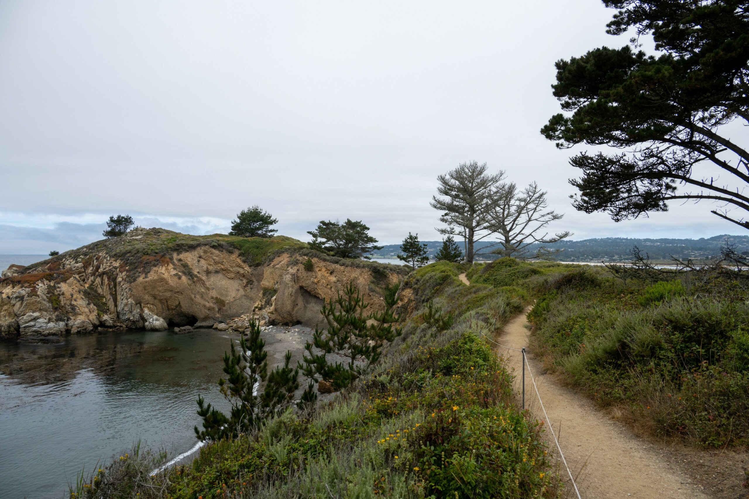 View of a trail leading through Point Lobos Natural Reserve with verdant foliage and rugged coastline in the background.
