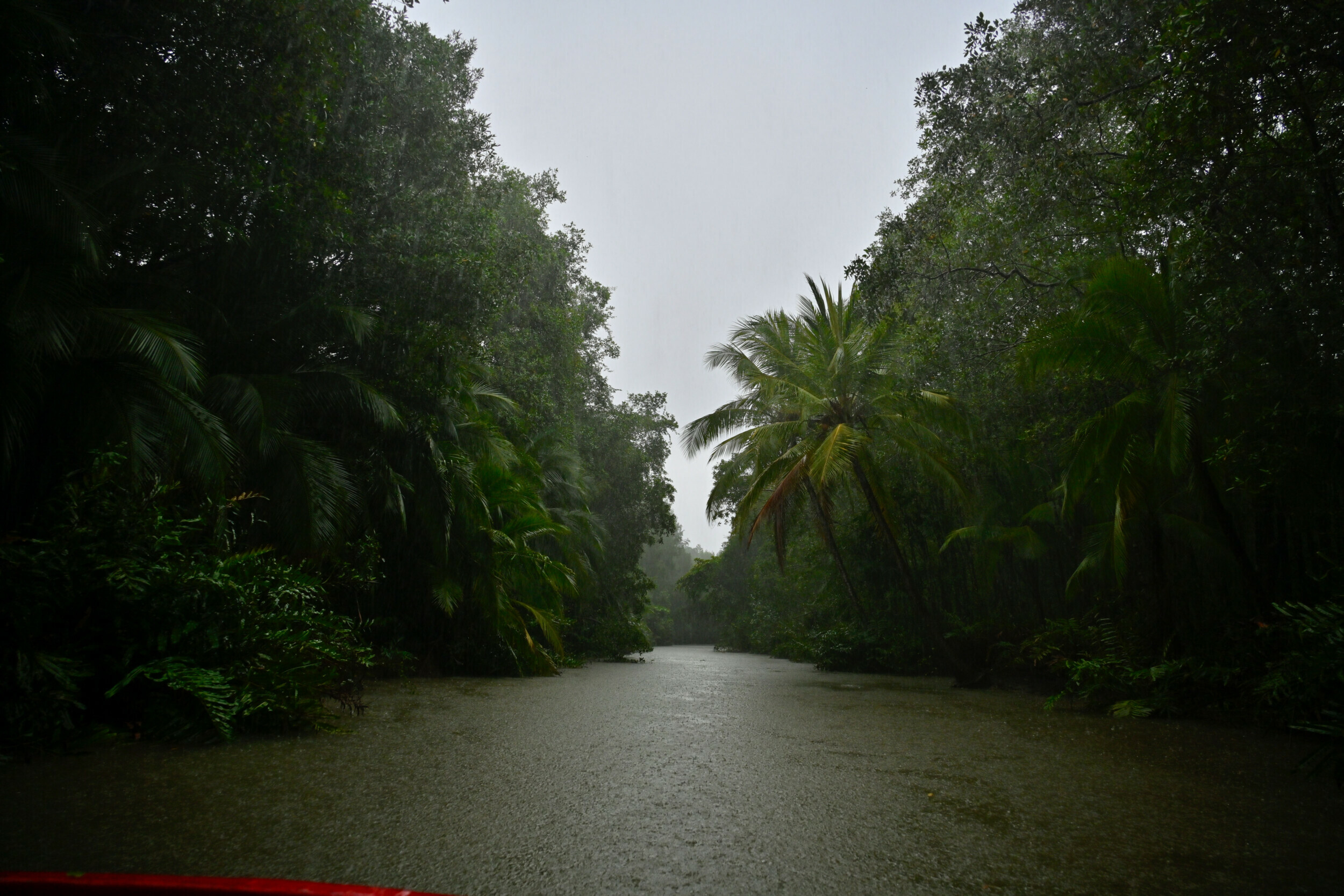 The overcast and rainy atmosphere in the Damas Mangrove near Manuel Antonio National Park, Costa Rica.