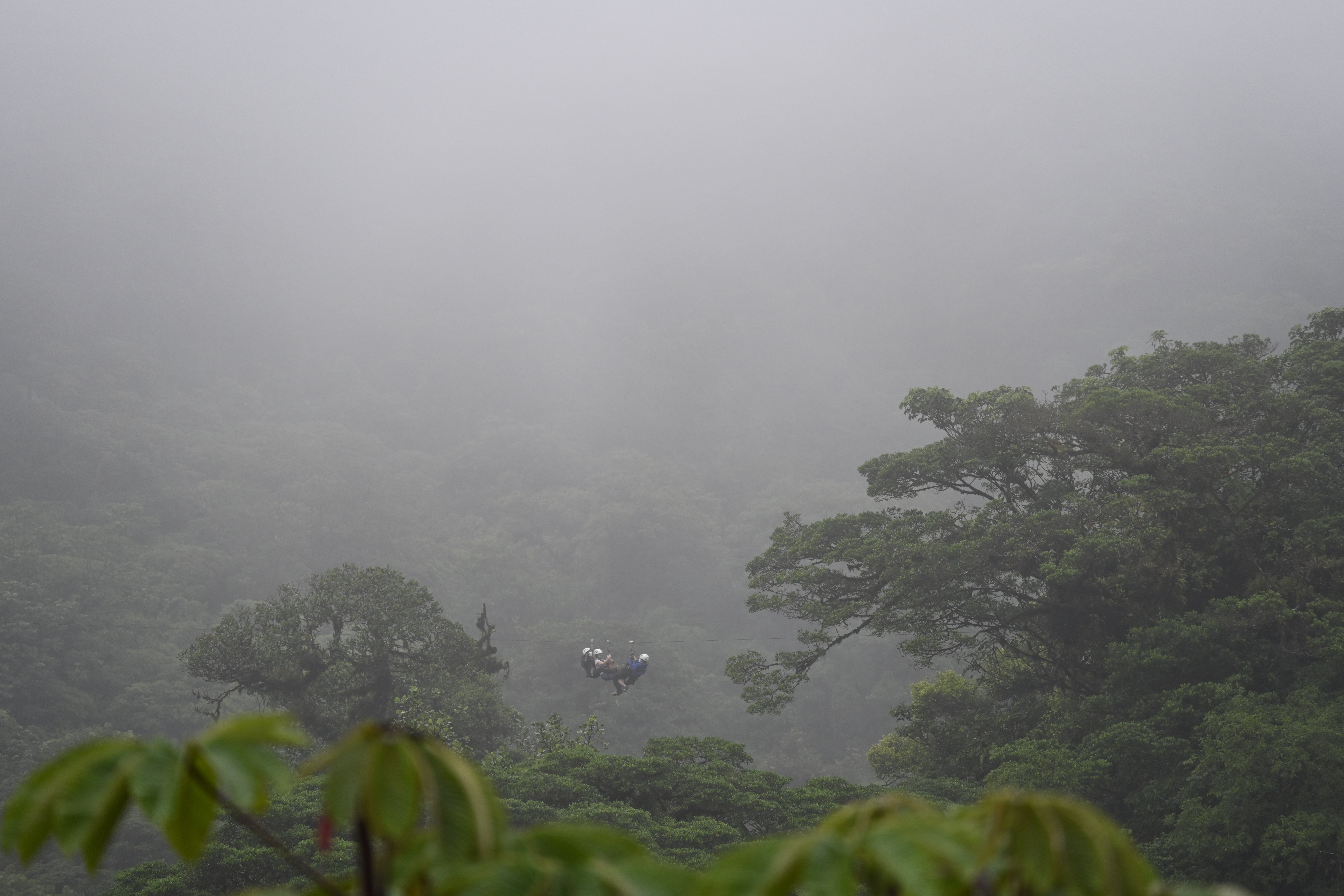 Two adventurers zip-lining over the lush green canopy of Monteverde Cloud Forest Reserve, enveloped by dense mist.